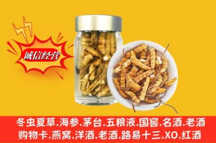 曲靖陆良县回收散虫草