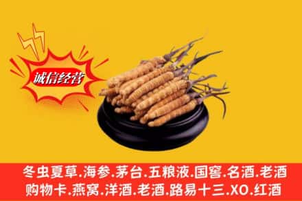 曲靖陆良县求购回收虫草多少钱每克